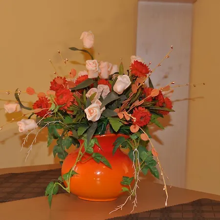 Carpe Diem * Kościelisko